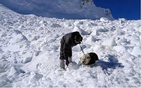 அருணாச்சல் பனிச்சரிவில் 7 வீரர்கள் சிக்கித் தவிப்பு: மீட்கும் பணி தீவிரம்