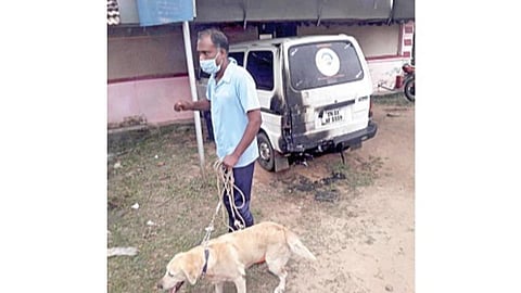 நாகப்பட்டினம் அருகே திருப்பூண்டியில் பாஜக நிர்வாகி கார் எரிந்த இடத்தில் நேற்று மோப்பநாய் மூலம் சோதனை நடத்தும் காவலர்.