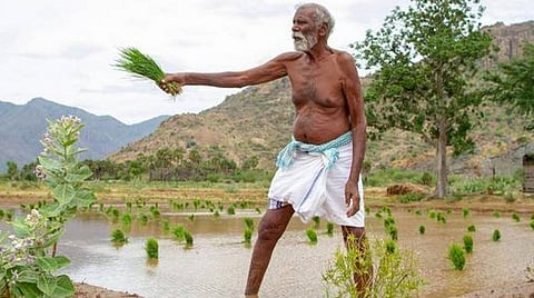 முதல் பார்வை | கடைசி விவசாயி - டெம்ப்ளேட்களில் சிக்காத நல்லனுபவம் தரும் நம்பிக்கைப் படைப்பு