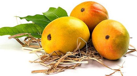 ஒரு பெட்டி அல்போன்சா மாம்பழம் ரூ.31,000