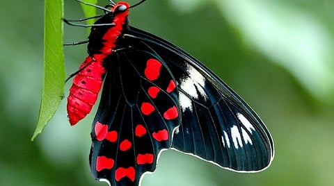 கோப்புப் படம்