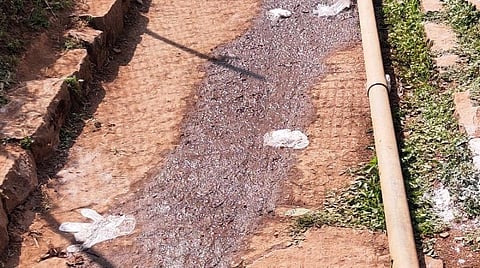 தெருக்களில் வாக்காளர்கள் வீசி சென்ற கையுறைகள்