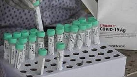 பிப்ரவரி 24: தமிழக நிலவரம்: தொற்று பாதிப்பு, குணமடைந்தோர், பலி எண்ணிக்கை- முழுமையான பட்டியல்