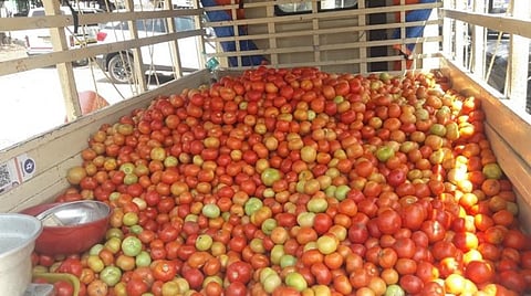 திண்டுக்கல் நகரில் மினி லாரியில் குவித்துவைக்கப்பட்டு வீடுகளுக்கே சென்று விற்பனை செய்யப்படும் தக்காளி. 