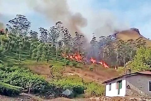 வால்பாறை வனச்சரகம் வில்லோனி பள்ளத்தாக்கில் நேற்று பற்றி எரிந்த காட்டுத்தீ.