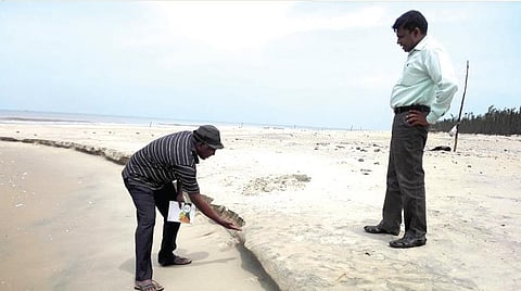 நேர்க்கோட்டுத் தடுப்புச் சுவர் அல்ல... தூண்டில் வளைவே தீர்வு!