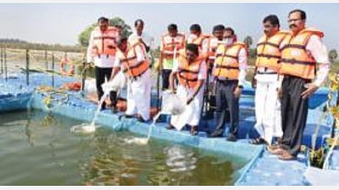 பாரூர் பெரிய ஏரியில் பாசன குளங்களில் ரூ.3.12 கோடி மதிப்பில் மிதவை கூண்டில் மீன் வளர்ப்பு திட்டப் பணிகளை மீன்வளத்துறை அமைச்சர் அனிதா ஆர் ராதாகிருஷ்ணன் தொடங்கி வைத்தார். அருகில் மாவட்ட ஆட்சியர் ஜெயசந்திர பானுரெட்டி.