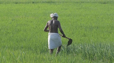 கோப்புப் படம்