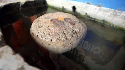 தண்ணீரில் மிதக்கும் பவளப்பாறை