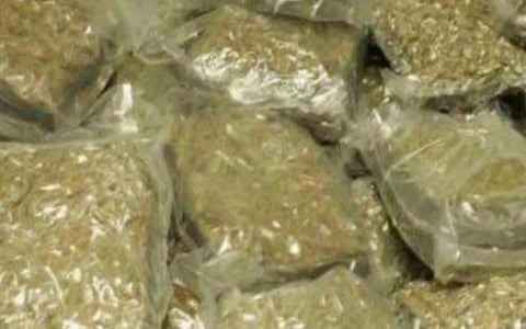 அரசு பேருந்தில் கடத்திய 10 கிலோ கஞ்சா பறிமுதல்: கடத்தல் நபரை கவ்வி பிடித்த மோப்ப நாய் ‘சிம்பா’