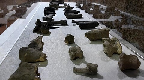 கீழடியில் ரூ.11.03 கோடி மதிப்பீட்டில் அகழ்வைப்பக அருங்காட்சியகம்: பொதுப் பணித்துறை அறிவிப்பு 