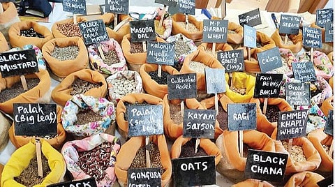 வேர்கள், கிழங்குகளைத் தேடிய சென்னைத் திருவிழா