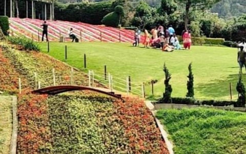 கோடை காலத்தில் நீலகிரியிலும் சுட்டெரிக்கும் வெயில்... காரணம் என்ன?