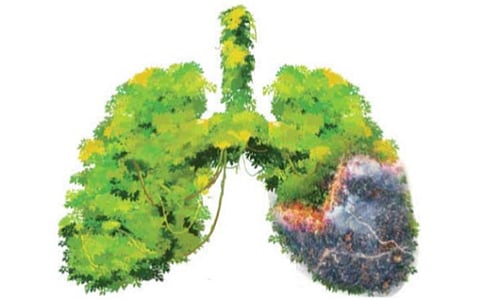 இயற்கை 24X7: உயிர்வளியும் ஆபத்தே!