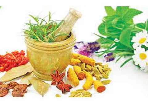 சித்த மருத்துவத்துக்கும் முக்கியத்துவம் வேண்டும்!