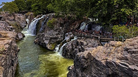 கிராமந்தோறும் மரகதப் பூஞ்சோலைகள் முதல் சூழல் சுற்றுலா வரை: தமிழக வனத்துறையின் 13 அறிவிப்புகள்