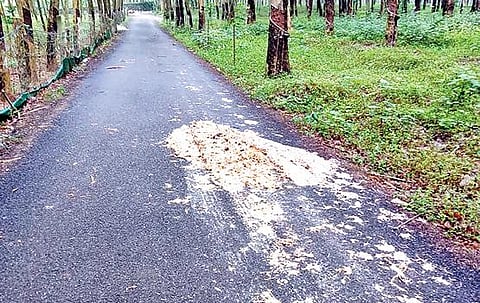 கன்னியாகுமரி மாவட்ட  மலையோர கிராமமான கடையாலுமூட்டில் ரப்பர் தோட்டத்துடன் கூடிய இயற்கை சூழ்ந்த சாலையில் கொட்டப்பட்ட இறைச்சி கழிவுகளால் அப்பகுதி முழுவதும் துர்நாற்றம் கடுமையாக உள்ளது.
