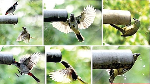 படங்கள்: எம்.முத்துகணேஷ்