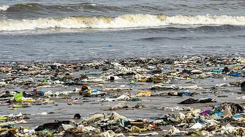 ராமேசுவரத்தில் பிளாஸ்டிக்கால் கடல்வாழ் உயிரினங்களுக்கு ஆபத்து: பிளாஸ்டிக் தடை தீவிரப்படுத்தப்படுமா?