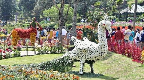 சுற்றுலா மானிய கோரிக்கையில் ‘கண்டுகொள்ளப்படாத’ கொடைக்கானல் - மலை கிராம சுற்றுலாத் திட்டம் என்ன ஆனது?