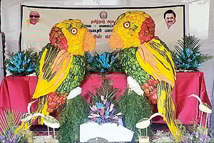 கோத்தகிரியில் நேற்று தொடங்கிய காய்கறி கண்காட்சியில் சுற்றுலா பயணிகள் மற்றும் பொதுமக்களை வெகுவாக கவர்ந்த பல்வேறு காய்கறிகளால் அலங்கரிக்கப்பட்டிருந்த ஒட்டகச்சிவிங்கி, கிடார், கிளி உருவங்கள்.