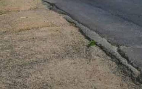 புதுச்சேரியில் தரமற்ற சாலைகளால் விபத்துகள் அதிகரிப்பு; 6 ஆண்டுகளில் 1,044 பேர் உயிரிழப்பு - அரசு என்ன செய்யப்போகிறது?