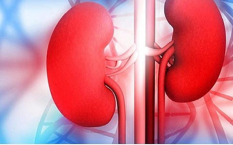 தமிழகத்தில் 5-ல் ஒருவருக்கு சிறுநீரக பாதிப்பு: பொது சுகாதாரத் துறை ஆய்வில் தகவல்