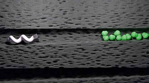 பற்களில் பாக்டீரியாவை அழிக்க நானோ பாட்கள்: இந்திய ஆராய்ச்சியாளர்களின் முன்முயற்சி