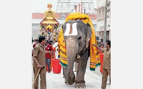 தங்க ரதத்தில் பத்மாவதி தாயார் ஊர்வலம்: திருச்சானூரில் திரளான பக்தர்கள் பங்கேற்பு