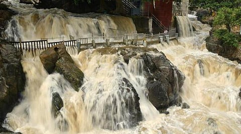 ஒகேனக்கல் | பாறை விளிம்பில் நின்று செல்ஃபி எடுத்தபோது ஆற்றில் தவறிவிழுந்த பெண் உயிரிழப்பு