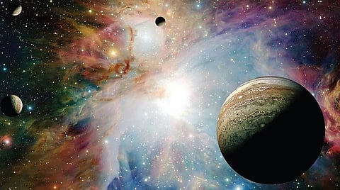 இயற்கை 24X7: புவியில் வாழும் விண்மீன் குட்டிகள்