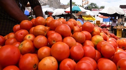 படம்: என்.ராஜேஷ்