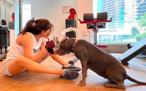 “நான் அதிர்ஷ்டசாலி” - கடைசி வரை நாய், பூனையுடன்தான் வாழ்க்கை என ட்ரோல் செய்தவருக்கு சமந்தா ரிப்ளை