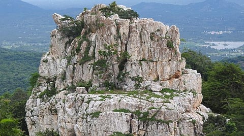 ஏற்காட்டில் பிரமிப்பூட்டும் வகையில் பிரமாண்டமான வெள்ளை யானை நிற்பது போல் உள்ள வெள்ளை யானைக்கல் பாறை