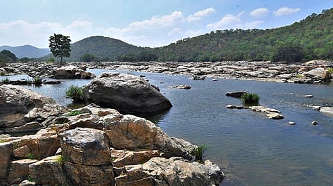 மேகதாது விவகாரம்: காவிரி மேலாண்மை ஆணையம் விவாதிக்க தடை கோரி உச்ச நீதிமன்றத்தில் தமிழக அரசு மனு தாக்கல்