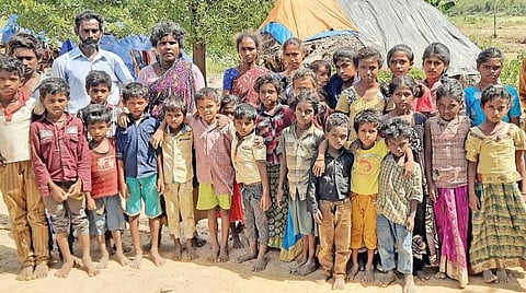 சாதிச் சான்றிதழ் இல்லாமல் தவிக்கும் ‘பூம்பூம் மாட்டுக்காரர்கள்’