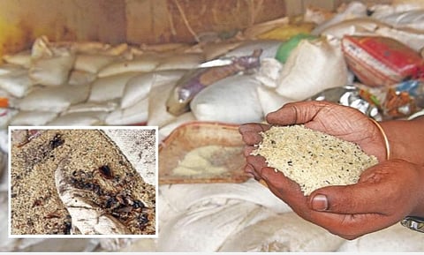 புதுச்சேரி மரப்பாலம் அரசு குடோனில் பொதுமக்களுக்கு வழங்காமல் வைக்கப்பட்டு, கெட்டுப்போன ரேஷன்  அரிசி. படம்: எம்.சாம்ராஜ்