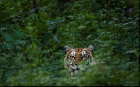 பிரதிநிதித்துவப் படம்.