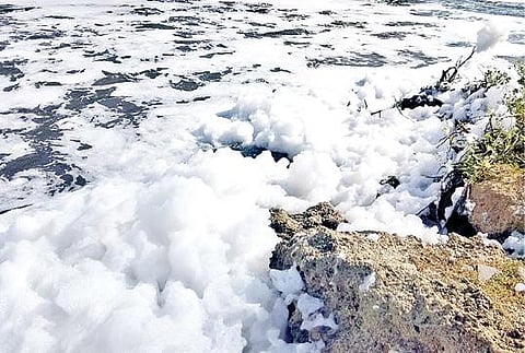 ஆம்பூர் அடுத்த மாராப்பட்டு பாலாற்றில் நுரையுடன் செல்லும் கழிவுநீர்.