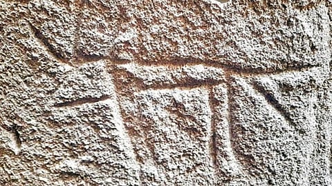 விலங்கு உருவ பாறை கீறல்.