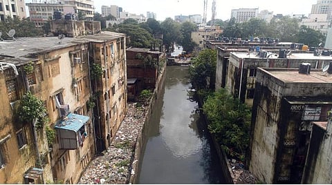 வெள்ளத்தில் முழ்கிய தி.நகர் | கைவிடப்பட்டது மாம்பலம் கால்வாய் சீரமைப்பு திட்டம்: சென்னை மாநகராட்சி முடிவு