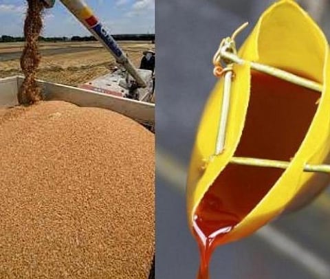 ‘‘கோதுமை வேண்டுமா? பாமாயில் தாங்க’’- இந்தோனேசியாவுடன் ஒப்பந்தம் செய்கிறது இந்தியா: சமையல் எண்ணெய் விலை மேலும் குறைய வாய்ப்பு