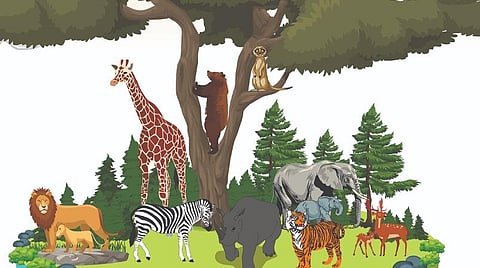 பூமியில் எவ்வளவு உயிரினங்கள் உள்ளன?