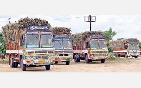 அரவைக்காக கொண்டு சென்ற கரும்புடன், அமராவதி கூட்டுறவு சர்க்கரை ஆலை முன்பு காத்திருக்கும் லாரிகள். படம்: எம்.நாகராஜன்