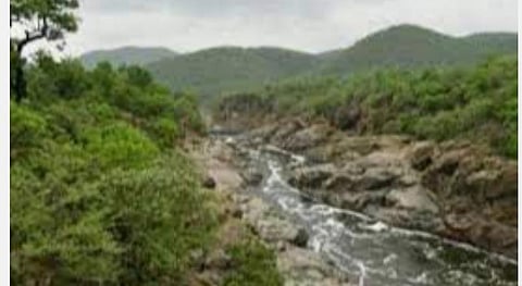 காவிரி நீர் பாயும் மேகதாது பகுதி.