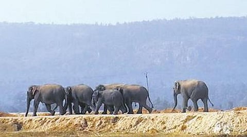 (கோப்புப்படம்)