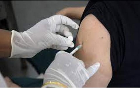 ரேபிஸ், பாம்புக் கடி மருந்துகள் தேவையான அளவு  இருக்க வேண்டும்: தமிழக சுகாதாரத்துறை அறிவுறுத்தல்