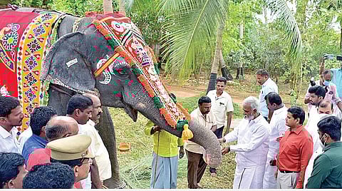திருச்செந்தூர் முருகன் கோயிலில் ரூ.300 கோடி மதிப்பில் மேம்பாட்டு திட்டங்கள்: அமைச்சர் சேகர்பாபு தகவல்