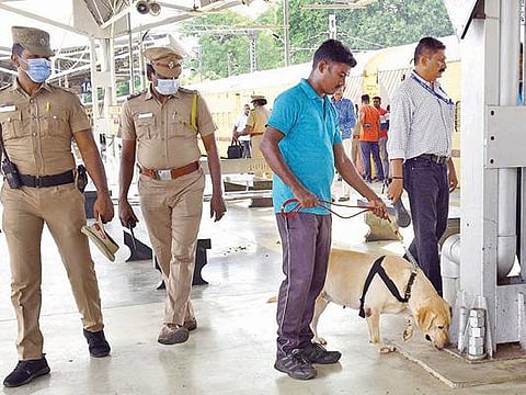 வெடிகுண்டு மிரட்டல் விடுக்கப்பட்டதை அடுத்து, திருச்சி ஜங்ஷன் ரயில் நிலையத்தில் நேற்று மோப்பநாய் உதவியுடன் சோதனை நடத்தும் போலீஸார்.படம்: ஜி.ஞானவேல்முருகன்
