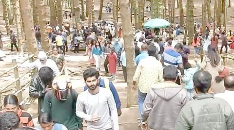 விடுமுறை தினத்தில் கொடைக்கானலில் குவிந்த சுற்றுலாபயணிகள்